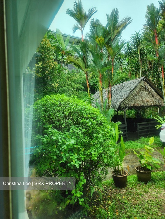 Raffles Park (D11), Detached #556305271